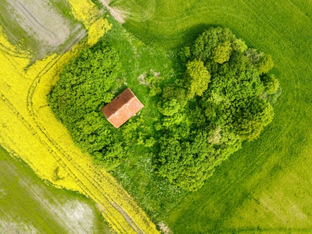 Zdrowe Masto Fundacja CommuniCare zdrowe powietrze